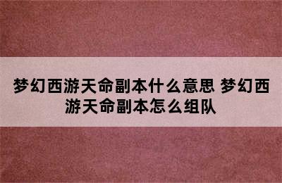 梦幻西游天命副本什么意思 梦幻西游天命副本怎么组队